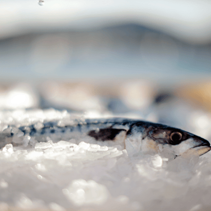 Premium Irish Seafood on display at Seafood Expo Global 2019