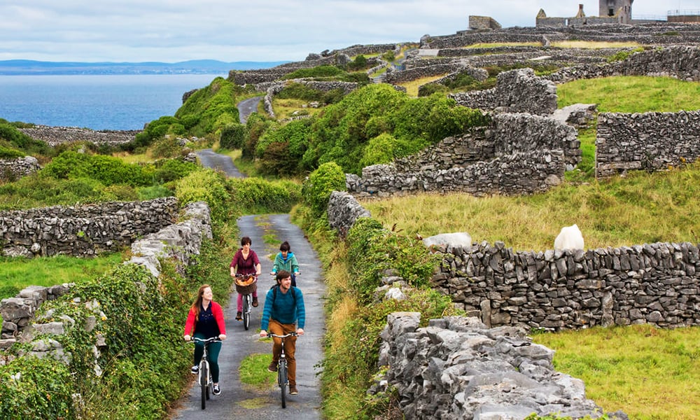 101-2--1533809719034238