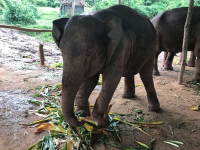 3309e299-0b47-496f-b03b-3bbb18383a2b