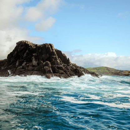 Ireland's climate is extremely suited to seafood production