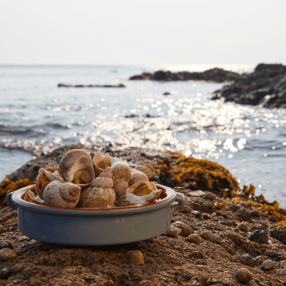 Display of Premium Irish Seafood on Ireland's shore