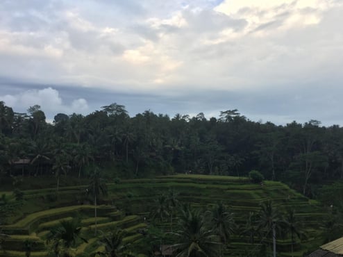 87991638_625391328224846_8988166042744258560_n (1)-1