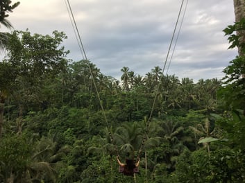 88346954_2709810359068775_1830514829626966016_n