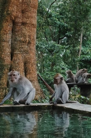 88970307_829676334203465_7489497411656613888_n