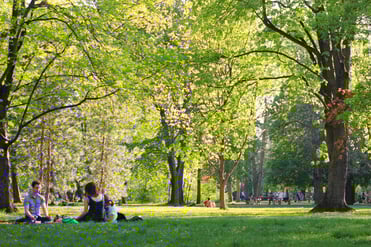 Budapest_Margaret-island_photo1