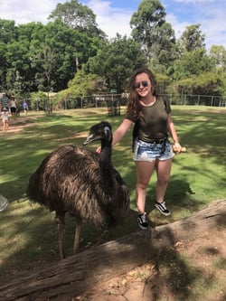 Koala Sanctuary,Brisbane