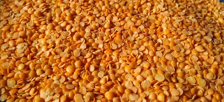 Quick and cheap lentil dal recipe