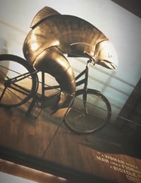 Fish on bicycle ad campaign exhibit