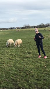 Enjoying one of the nature walks through the heritage town of Trim