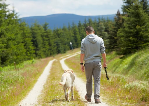 walking-with-offleash-dog-thinkstock-151616863