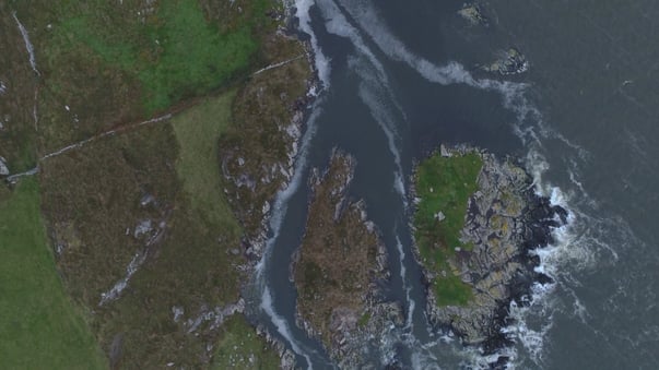 Irish Seascapes - Seafood - Working in Harmony with Nature