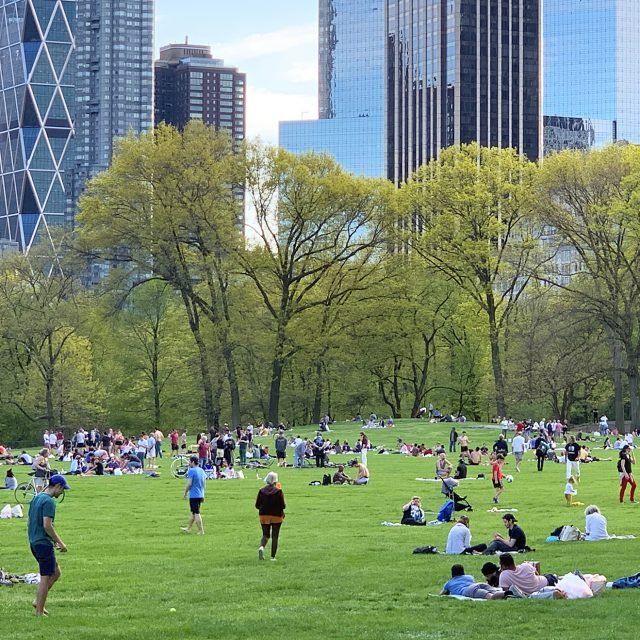 Live in a classic mid-century modern home on three acres of land in New Canaan for $1_5M _ 6sqft