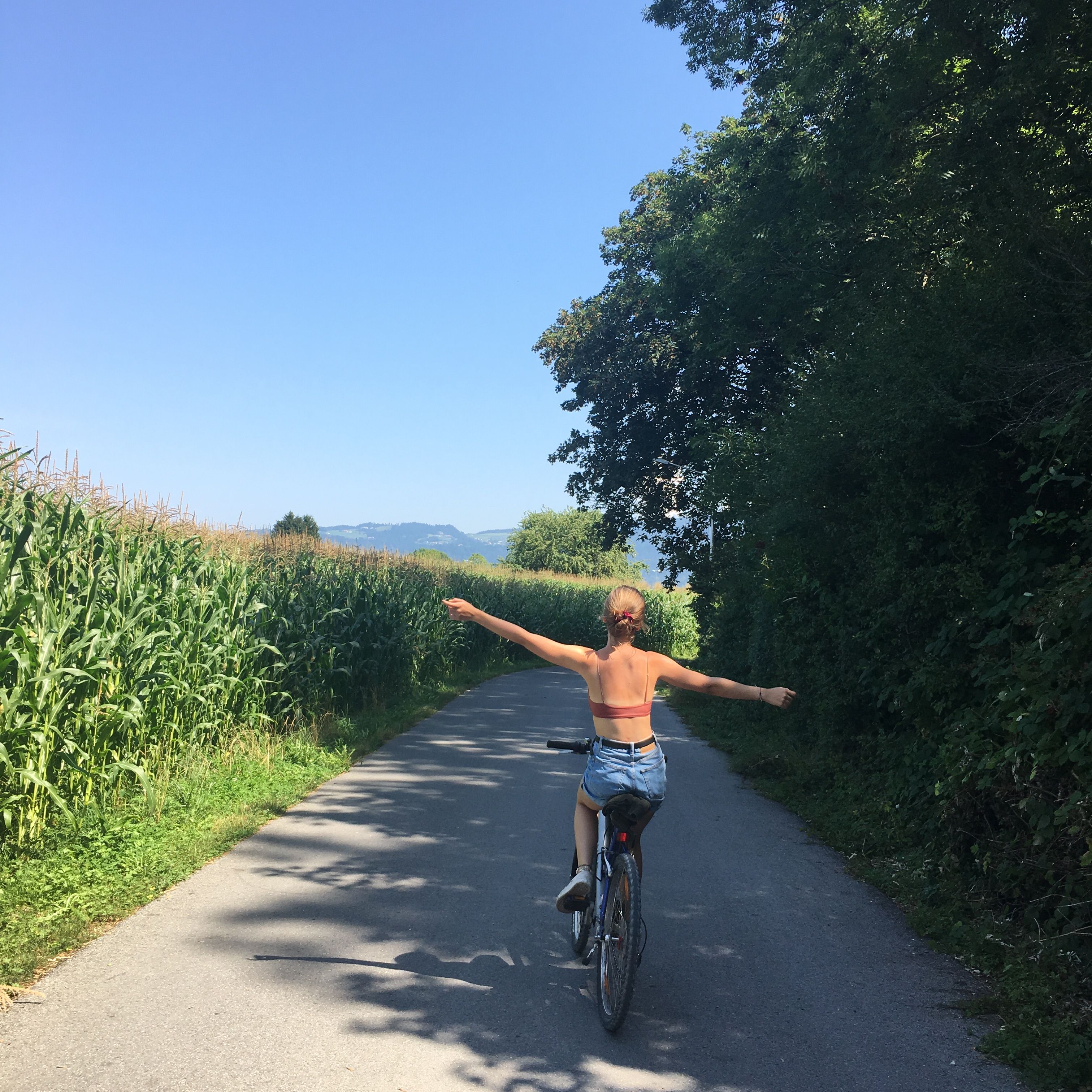 summer bike rides #bike #aesthetic #nature #vintage #summer