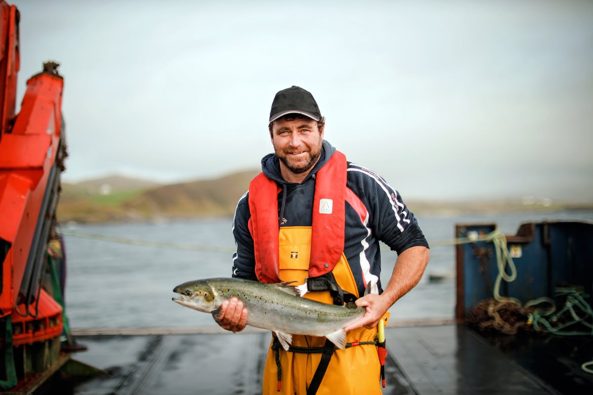 Organic Irish Salmon fisherman