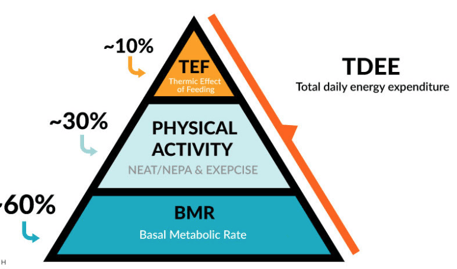 Screenshot 2020-03-29 at 13.00.26