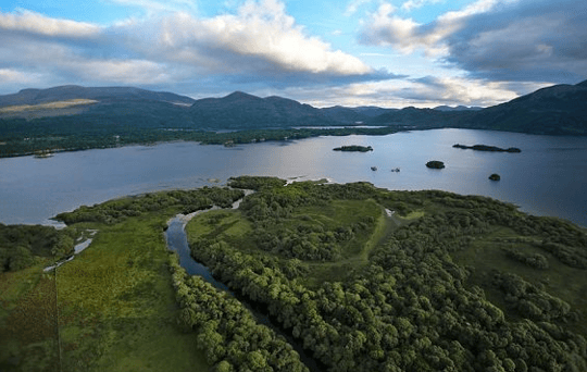 Screenshot 2020-04-16 at 16.31.40