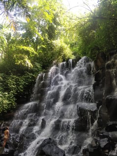 WhatsApp Image 2020-02-27 at 8.46.31 PM (1)-1