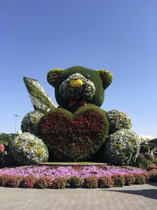 WhatsApp Image 2020-02-29 at 17.20.12