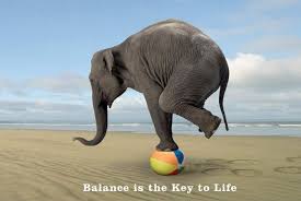 balance elephant