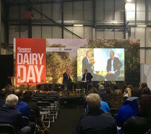 dairy day punchestown