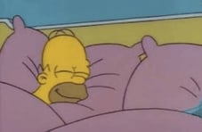 Homer Simpson peacefully sleeping