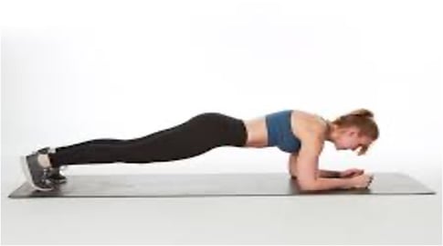 Plank how to 