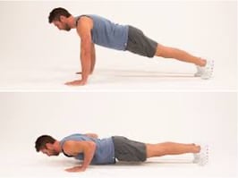 Plank how to 
