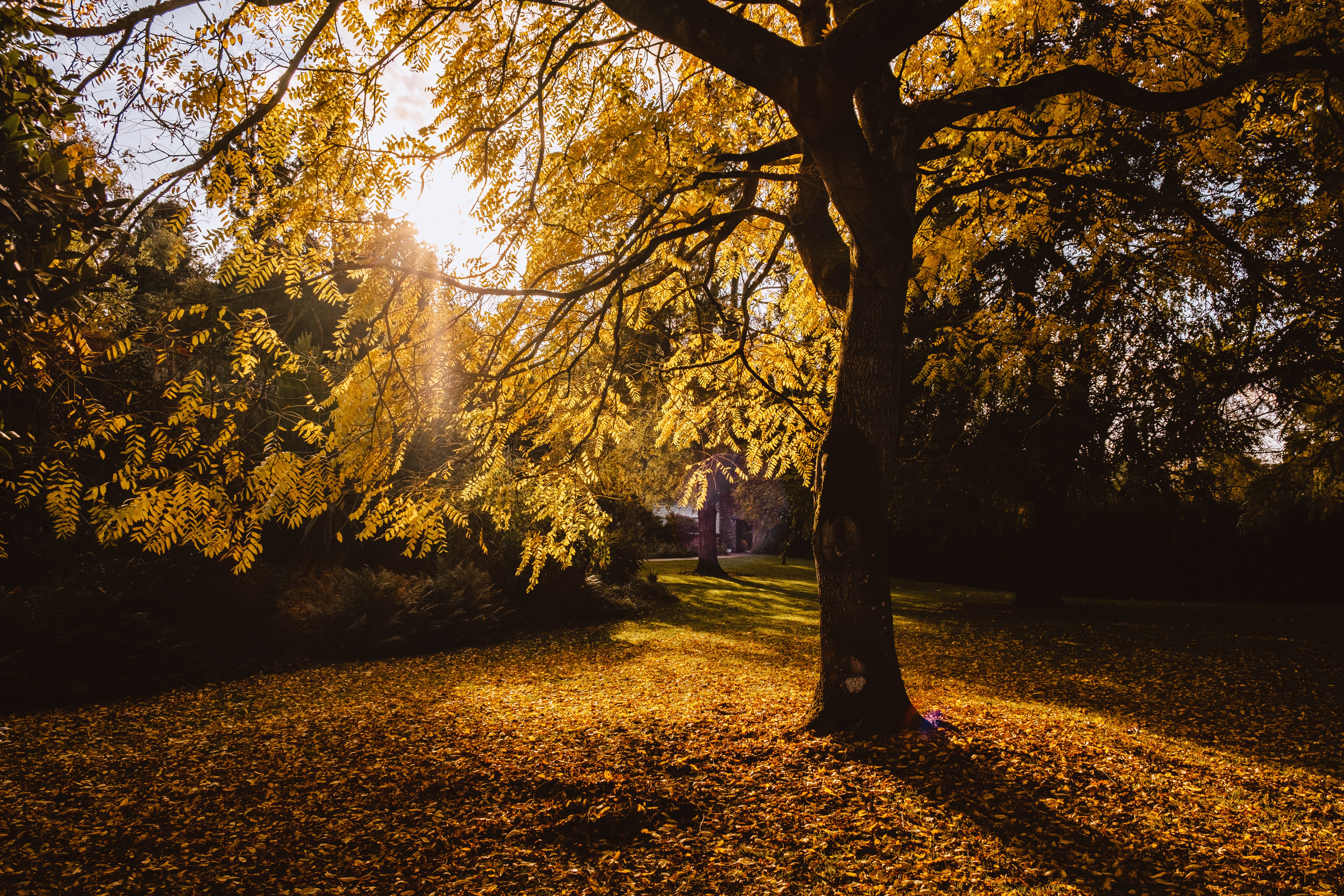 jamie-haughton-osUD1av2Id4-unsplash