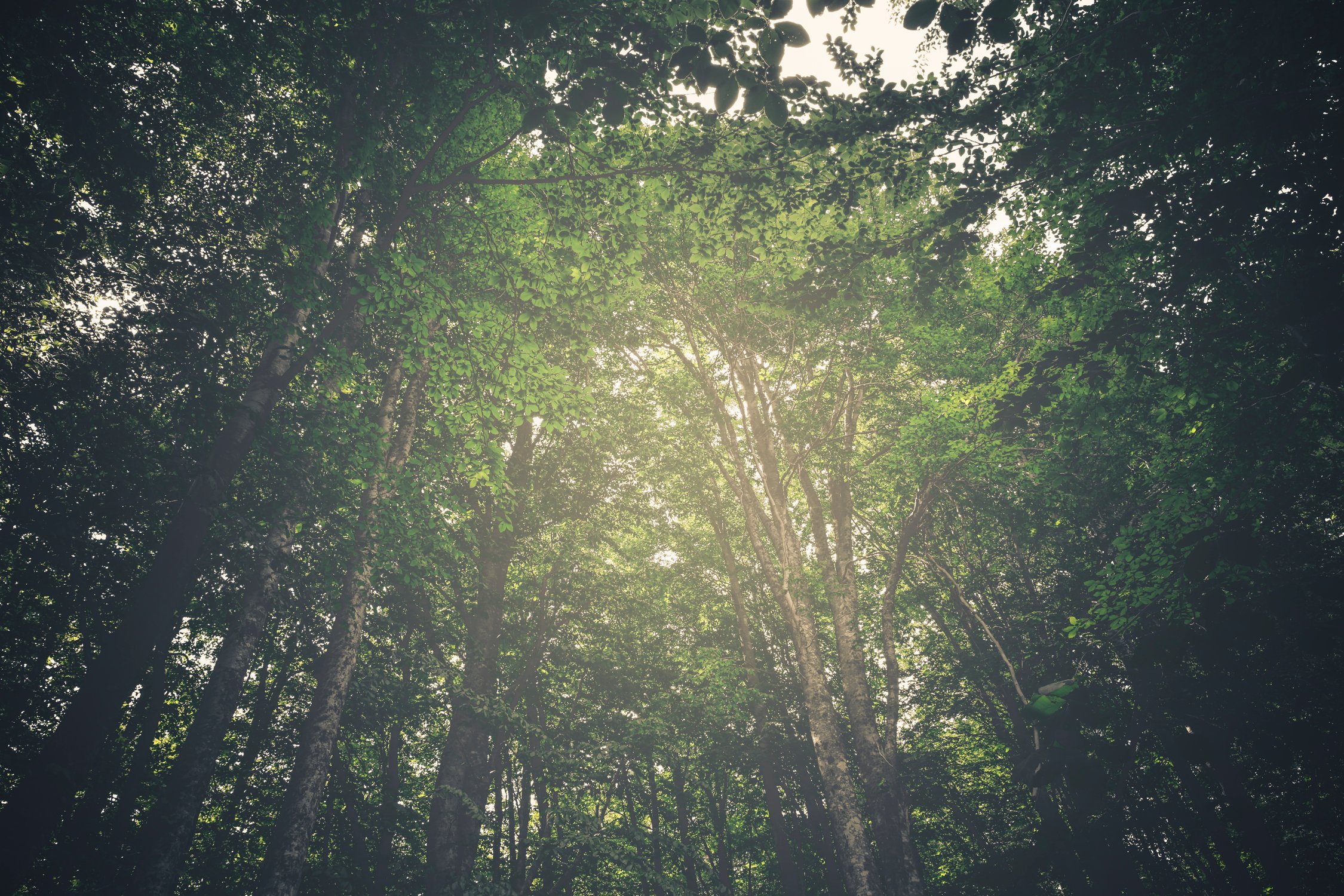 pikwizard-e9e8d6e7bf99e348933f12c3a3aeb4d4