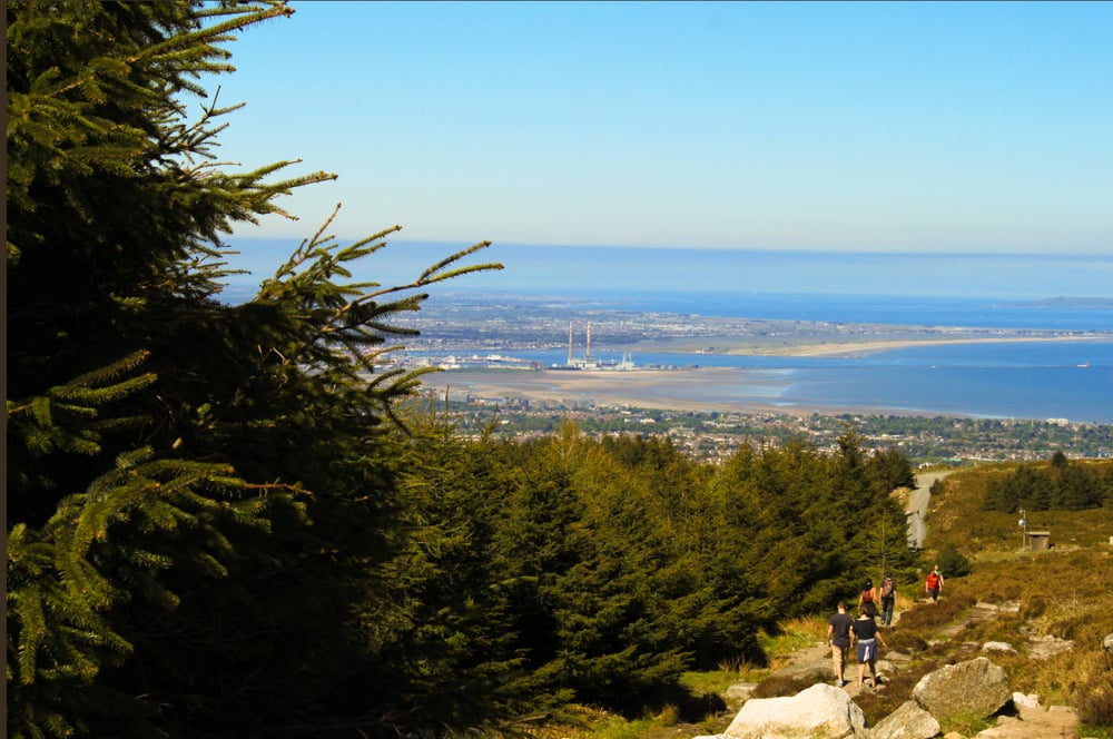 Ticknock forrest Dublin mountains