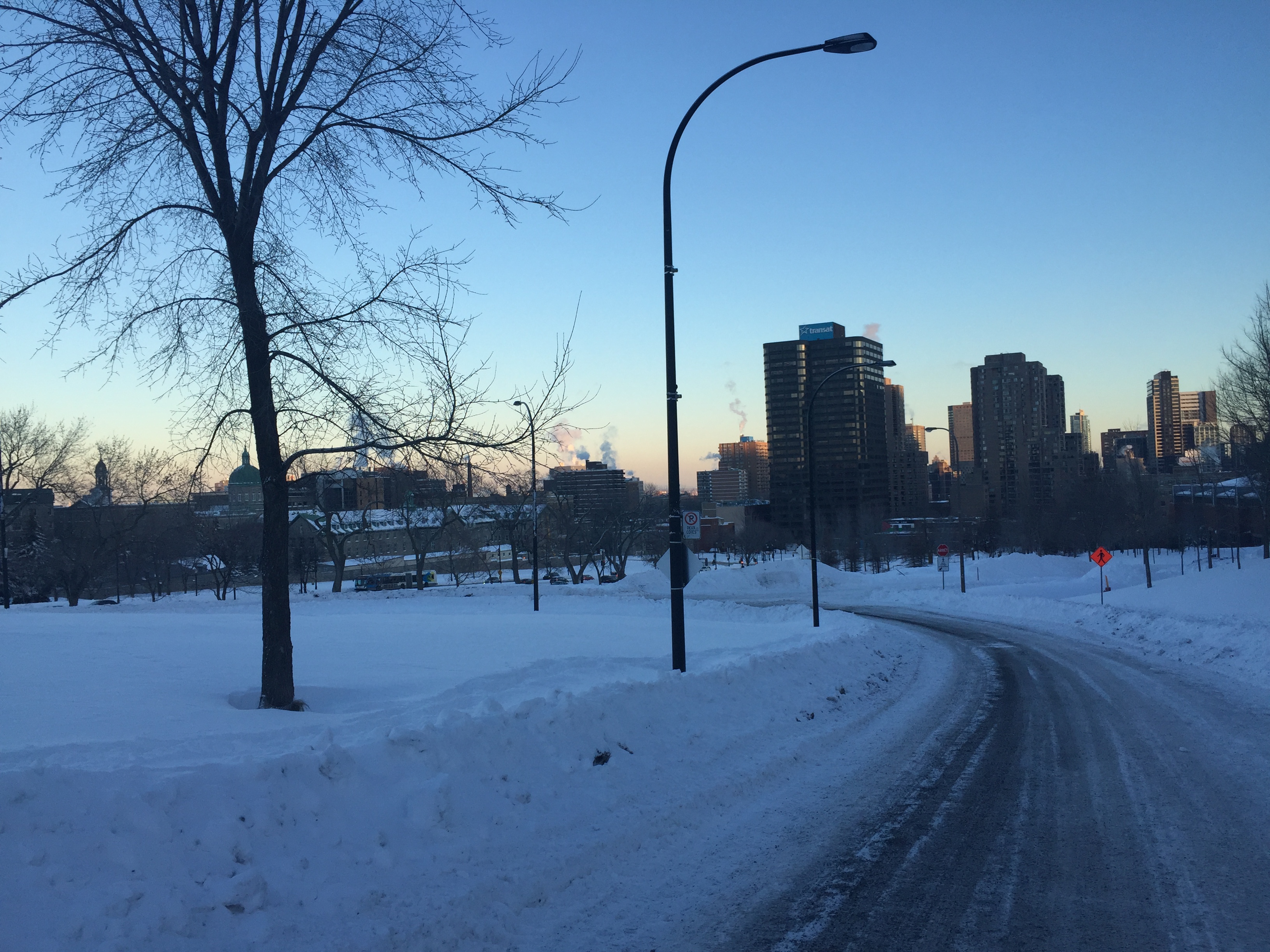 3be383a15a18f1f8-photo