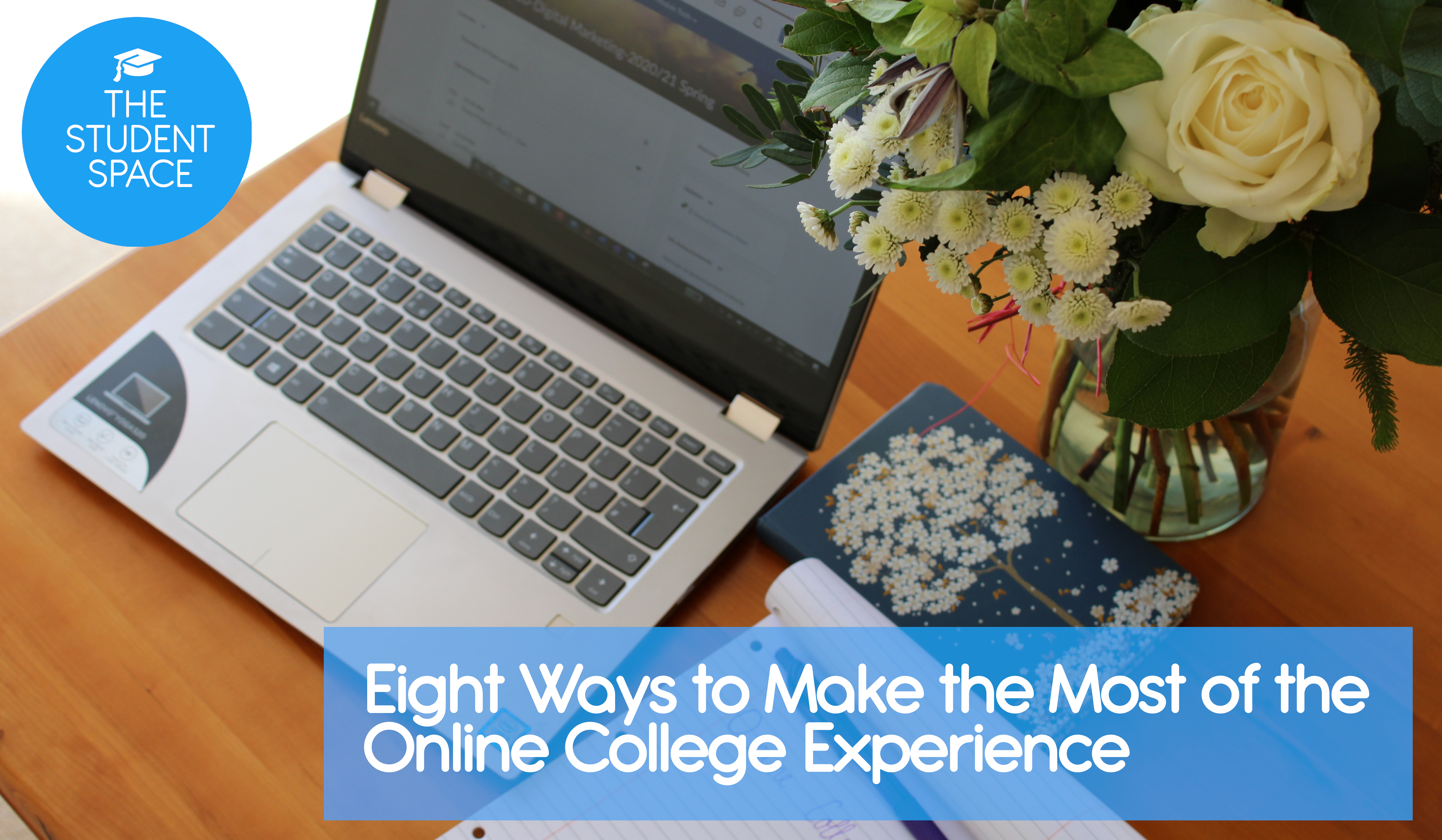 OnlineCollegeExperience