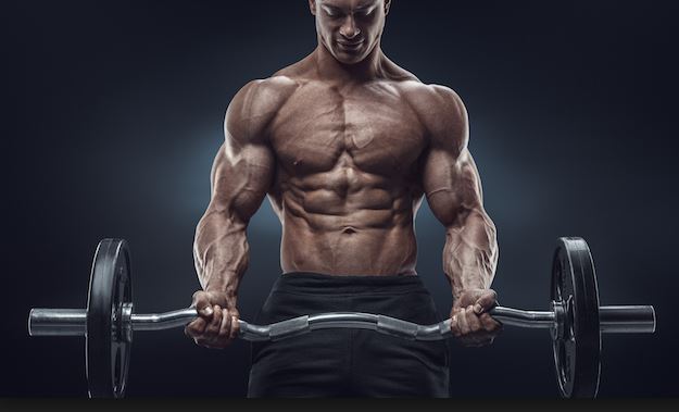 Online-Bodybuilding-Trainer
