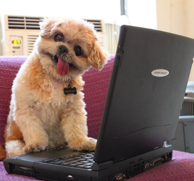 Screen Shot 2020-03-18 at 15.23.12