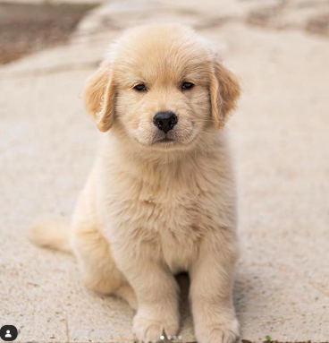 Screen Shot 2020-03-18 at 15.26.02