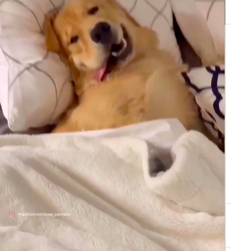 Screen Shot 2020-03-18 at 15.28.37