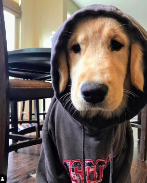 Screen Shot 2020-03-18 at 15.31.16