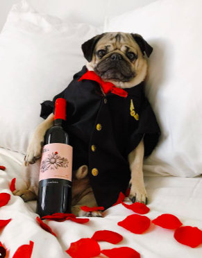 Screen Shot 2020-03-18 at 15.48.02