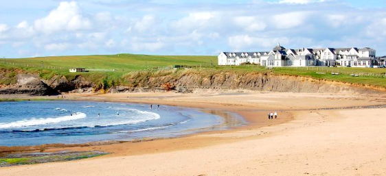 Screenshot 2020-04-16 at 16.37.07