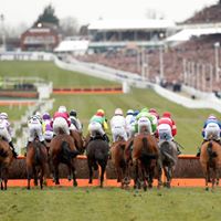 horse racing society