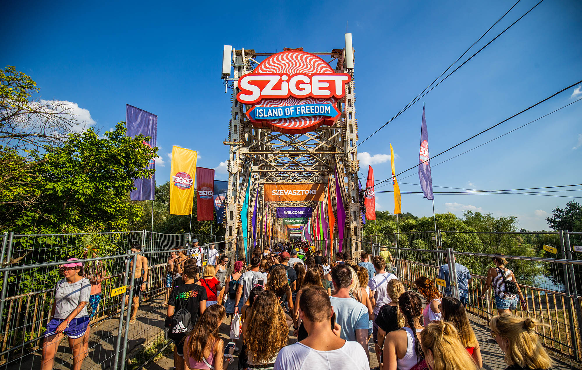 sziget